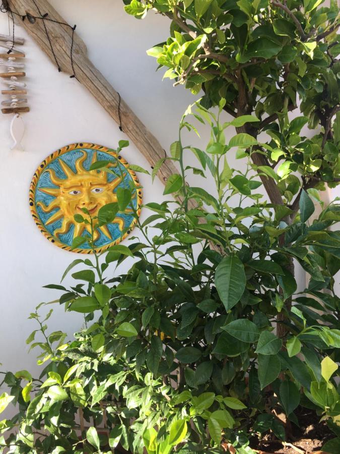 La Terrazza Sui Tetti Bed & Breakfast Senigallia Exterior photo