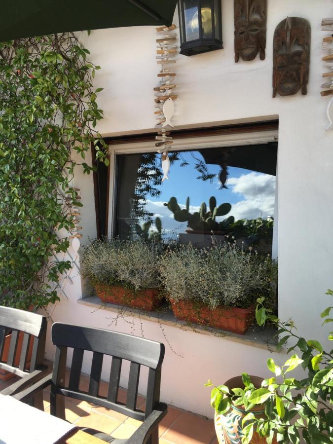 La Terrazza Sui Tetti Bed & Breakfast Senigallia Exterior photo